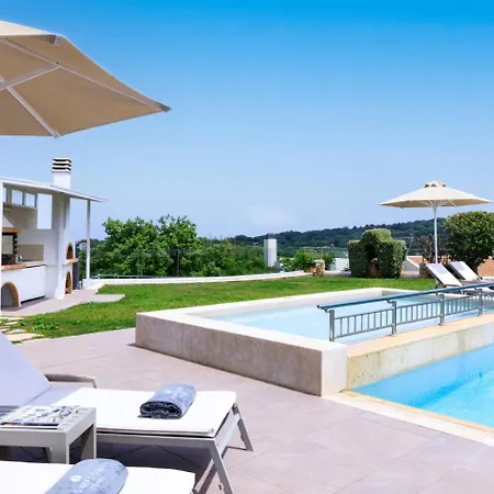 Red Oak Tree Willa *