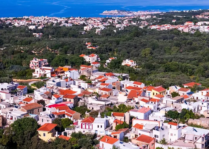 Red Oak Tree Willa Retimno