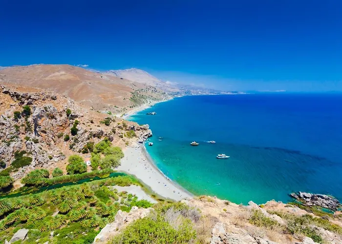Red Oak Tree Rethymno (Crete)