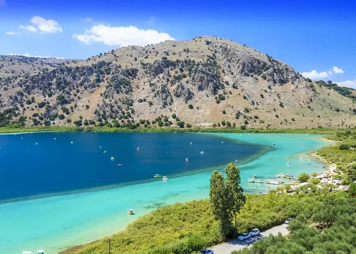 Red Oak Tree Willa *